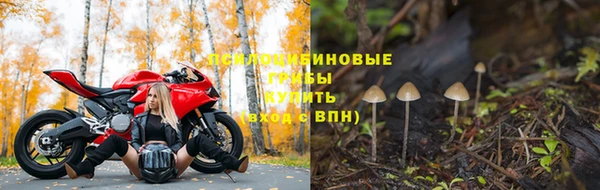 apvp Белокуриха